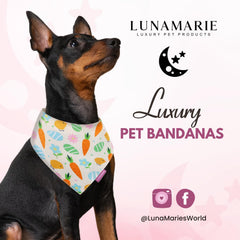 LunaMarie dual-layered bandana close-up showing durability for active dogs.