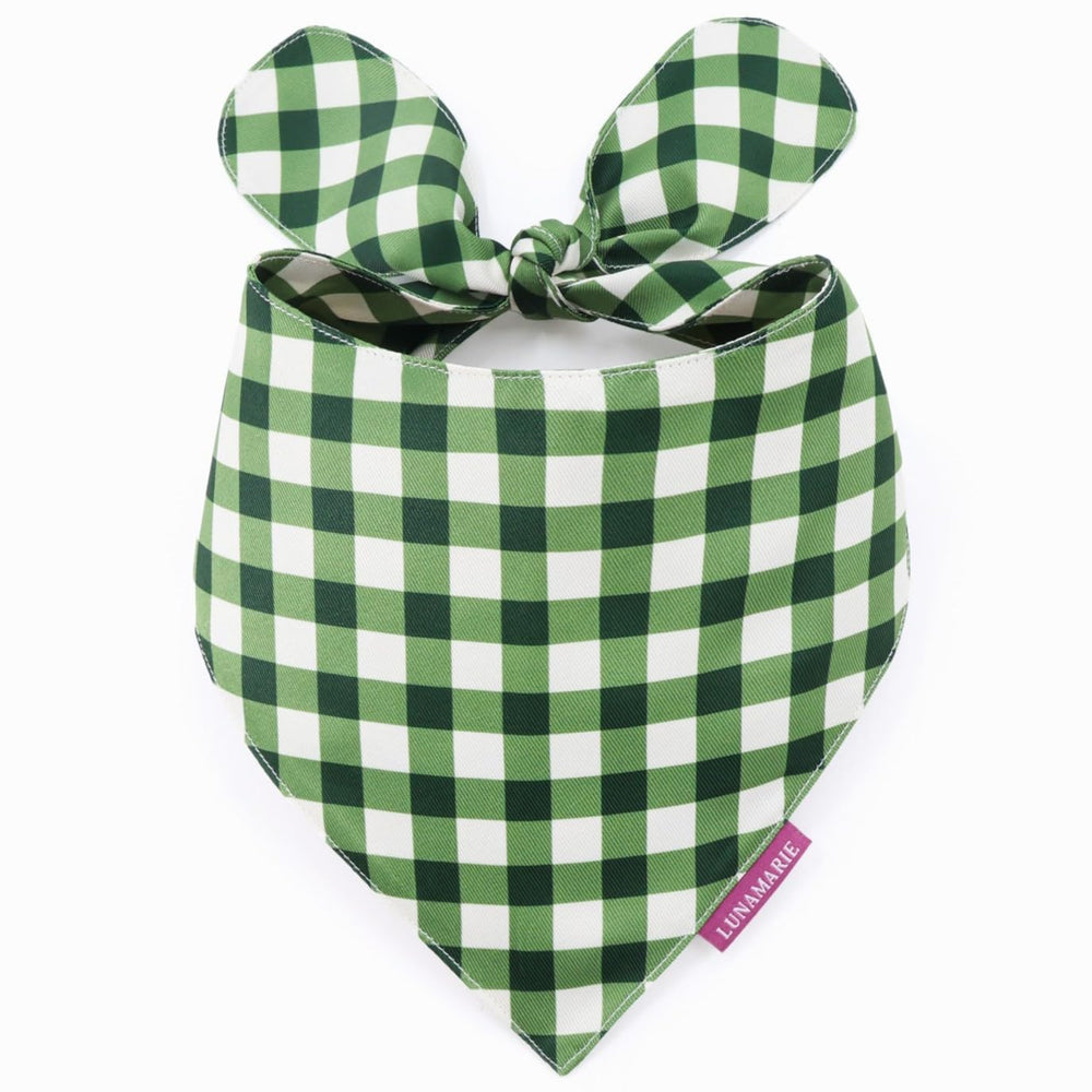 LunaMarie luxury olive small birthday bandana front view for stylish pet celebrations