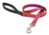 LupinePet Alpen Glow 6-Foot Leash with padded handle for comfortable daily walks.
