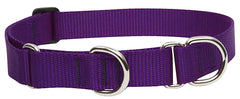 LupinePet Basics purple-martingale-collar view for secure leash-walking and training.