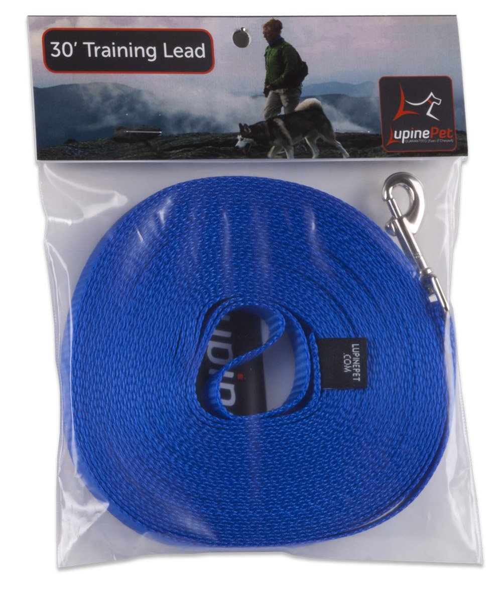 LupinePet Basics blue 30ft lead for small dogs with secure training range