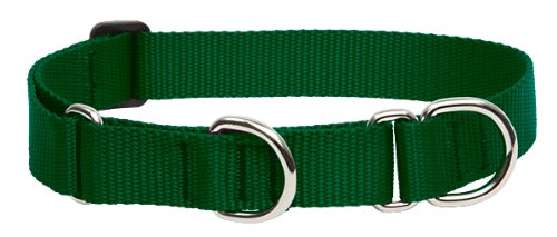 LupinePet Basics green martingale collar on a dog during a walk for secure control.