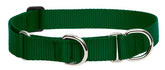 LupinePet Basics green martingale collar on a dog during a walk for secure control.