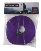 LupinePet Basics purple leash with self-loop handle for training and safe control.