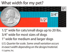 LupinePet dog leash padded handle closeup emphasizes comfortable grip.