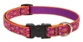 LupinePet Originals Alpen Glow collar close-up shows chewed-proof durability