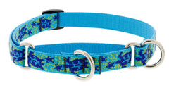 Collar LupinePet Originals Turtle Reef para perro pequeño, ajuste cómodo para paseos diarios