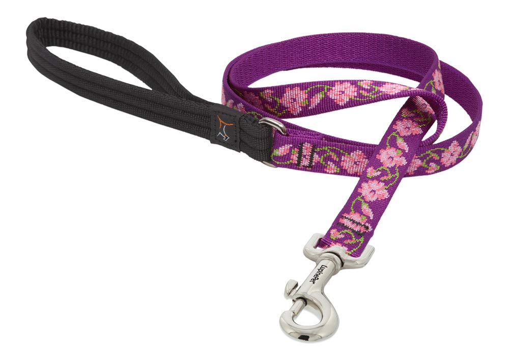 LupinePet Originals Rose Garden leash with padded handle for comfortable daily walks.