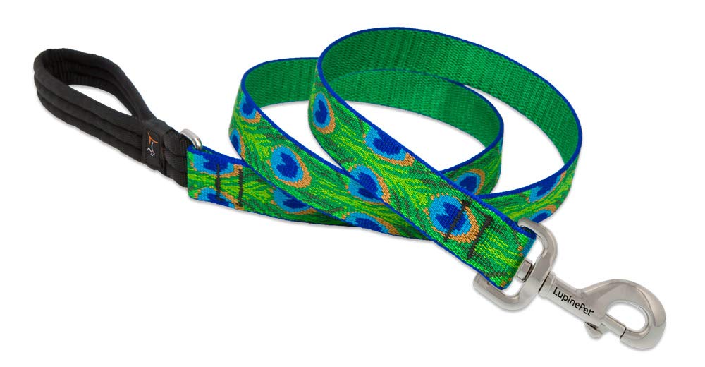 LupinePet Originals Tail Feathers 6ft leash with padded handle for comfortable daily walks.