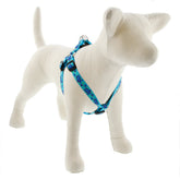 LupinePet Originals Turtle Reef step-in harness on a small dog for secure, comfortable walks.