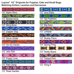 LupinePet Rain Song leash walking-small-pet depicts secure control during outings.