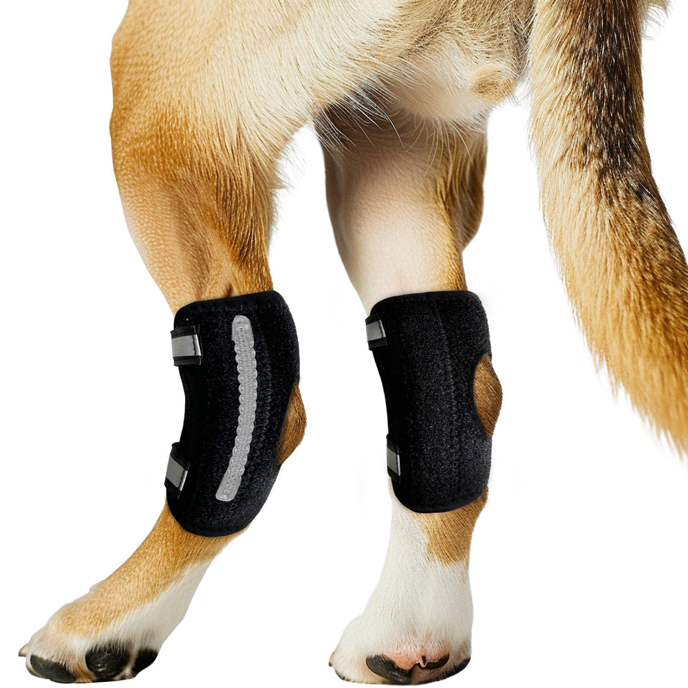 Lushnessu dog rear leg brace side view showing adjustable joint support.