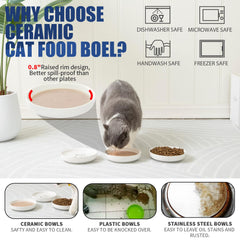 Lusifaco ceramic food dishes are safe, durable for daily use.