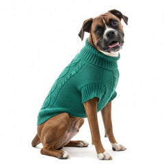 LUVMOJO adjustable-turtleneck sweater adapts to long- or short-necked dogs for wind protection.