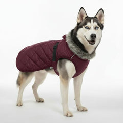LUVMOJO reflective strip and fur collar boost nighttime visibility for safe dusk walks