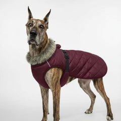 LUVMOJO XXXXL dog winter coat elastic-chest-strap emphasizes snug, secure fit for deep-chested breeds.