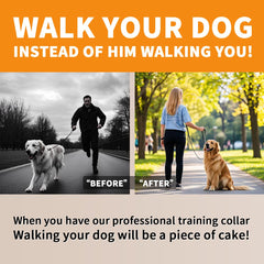 Luxury Flat Chain Training Collar polished finish adds sleek trainer-ready appeal