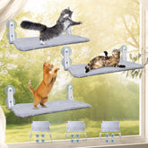 L&W BROS 3Pc Window Perch supports up to 50 lb with strong suction.