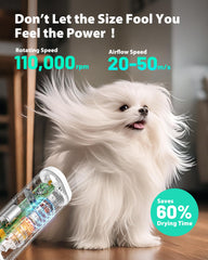 L&W BROS powerful airflow at 50 m/s for quicker grooming sessions