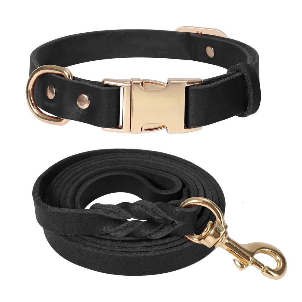 LWBMG leather dog collar close-up showing durable craftsmanship
