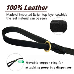 LWBMG leather leash walking scene demonstrates controlled training and enjoyable strolls.