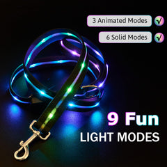 LWBMG Led Dog Leash USB-C rechargeable for long outdoor outings.