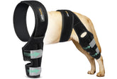 Lyderpet dog ACL knee brace on leg supports stability during daily activity.