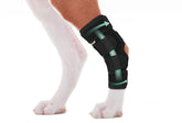 Lyderpet dog back leg brace side view showing stable rear leg support.