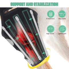 Lyderpet dog knee brace side view demonstrating hind leg fit