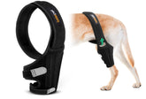 Lyderpet dog knee brace torn ACL close-up showing springs for stability