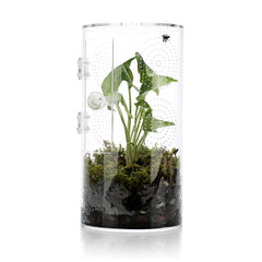 LYL LEYOULAND jumping spider enclosure front view for clear observation