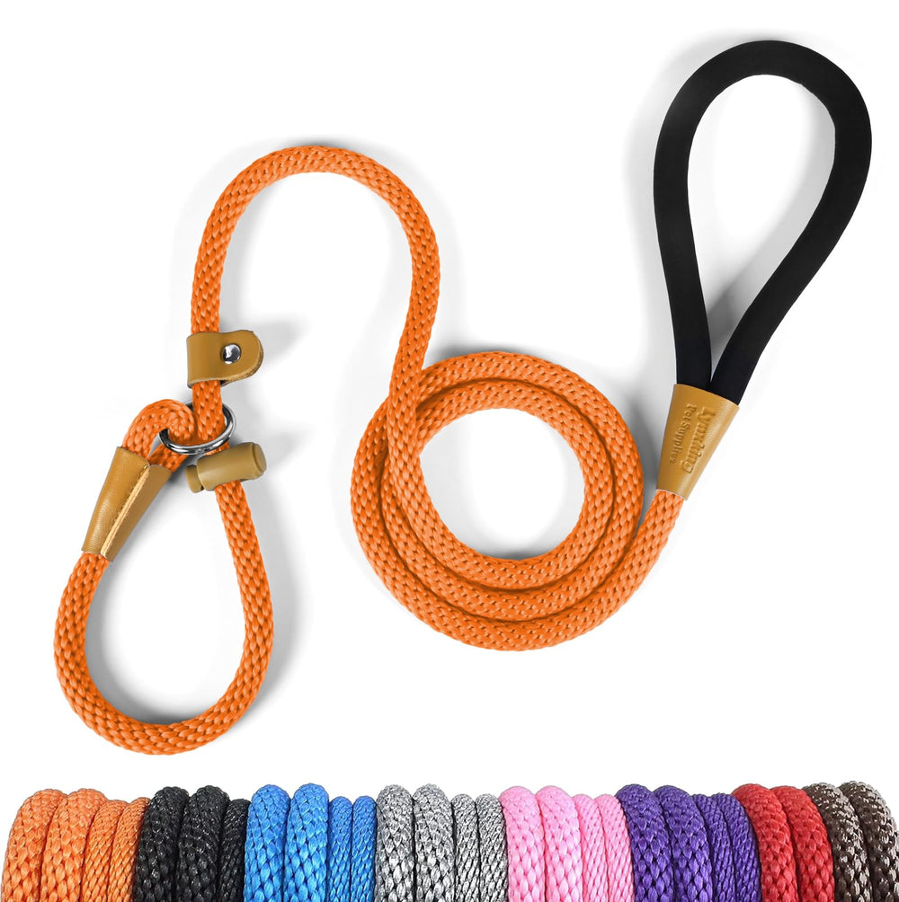 Lynxking slip lead 6ft adjustable loop demonstrates quick on/off training for medium to large dogs
