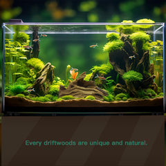 Lyphard Aquariums driftwood decor enhances realistic aquatic landscaping in tanks and terrariums.