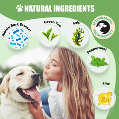 Lysimi dog dental powder packaging closeup highlights probiotic formula and natural herbal blend.