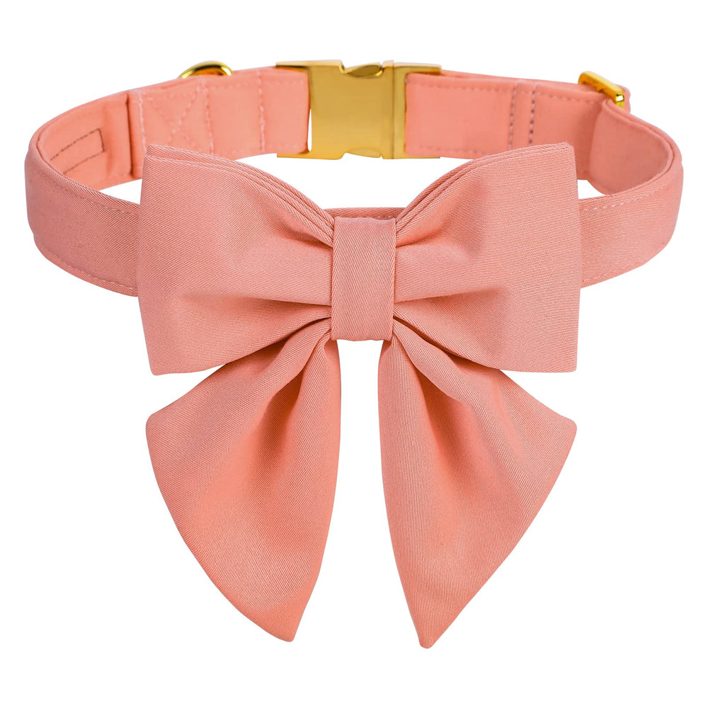 M MACA BATES candy pink collar with bow tie on a medium dog for chic photos.