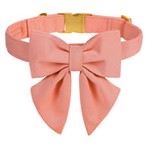M MACA BATES candy pink collar with bow tie on a medium dog for chic photos.