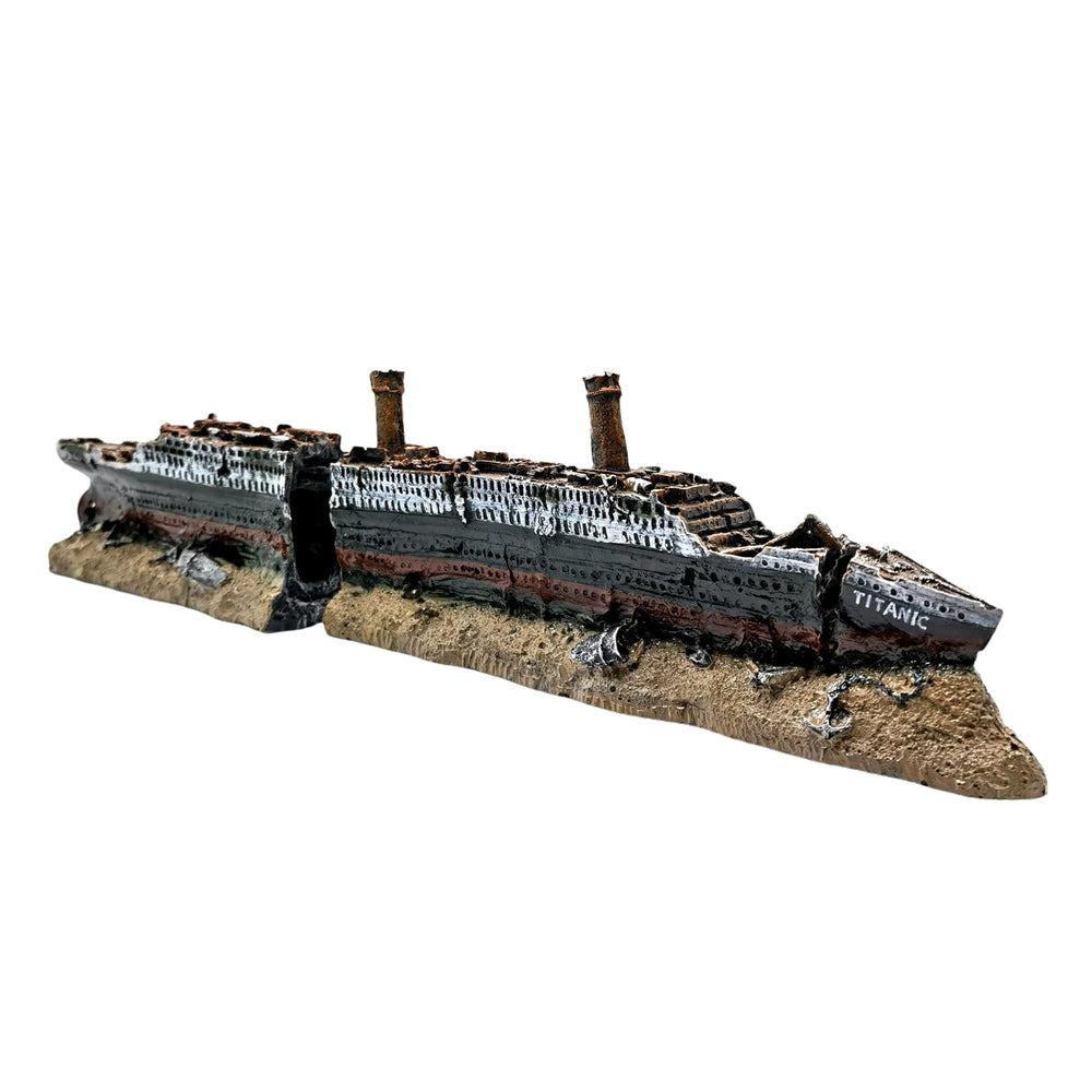 M2cbridge Titanic shipwreck hull detail provides a dramatic hideout for small fish.