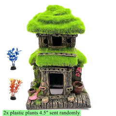 M2cbridge two-storey cottage offers shelter and exploration within a compact aquarium