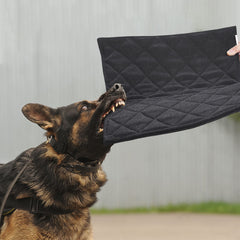 MABOZOO Indestructible Dog Bed with chew-proof fabric for tough chewers