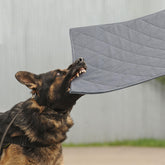 MABOZOO indestructible-dog-bed shows chew-proof durability for aggressive chewers in crates.