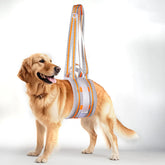 Macamolly portable dog lift harness – front view highlighting hind leg support