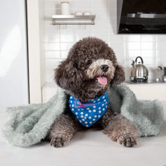 MACEVIA fluffy fleece dog blanket protecting furniture from hair and scratches.