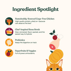 Bone broth-infused kibble from Made by Nacho adds savory flavor and hydration.
