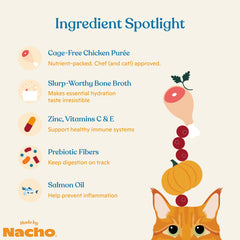 Made by Nacho Immune Support puree bone-broth closeup, adds moisture and aroma.