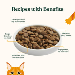 Kibble con pollo y calabaza para gatos quisquillosos.