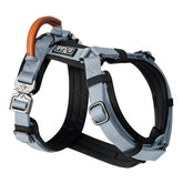 MADE TO ROAM Explorer Harness-durability in action for secure daily walks.