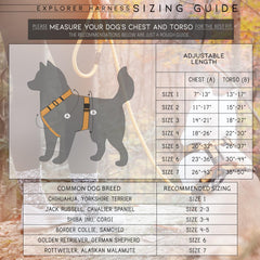 MADE TO ROAM Explorer Harness neoprene padding closeup adds soft comfort on walks