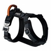 MADE TO ROAM Premium Explorer Harness dog-walking for comfortable daily strolls.