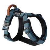 MADE TO ROAM Premium Explorer Harness Y-shaped front view promotes natural movement during walks.