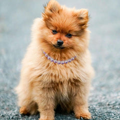 Madison Tyler Dog Pearl Necklace side view showcases durable craftsmanship for daily wear.